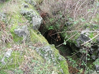 otta dei Pastori04112011 175